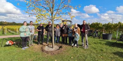 Baumpflanzchallenge 2025 Niederkirchen