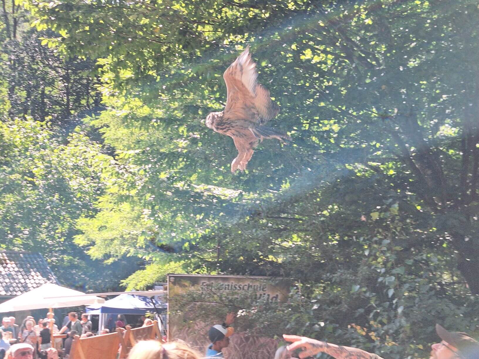 Jubiläum Forstzweckverband