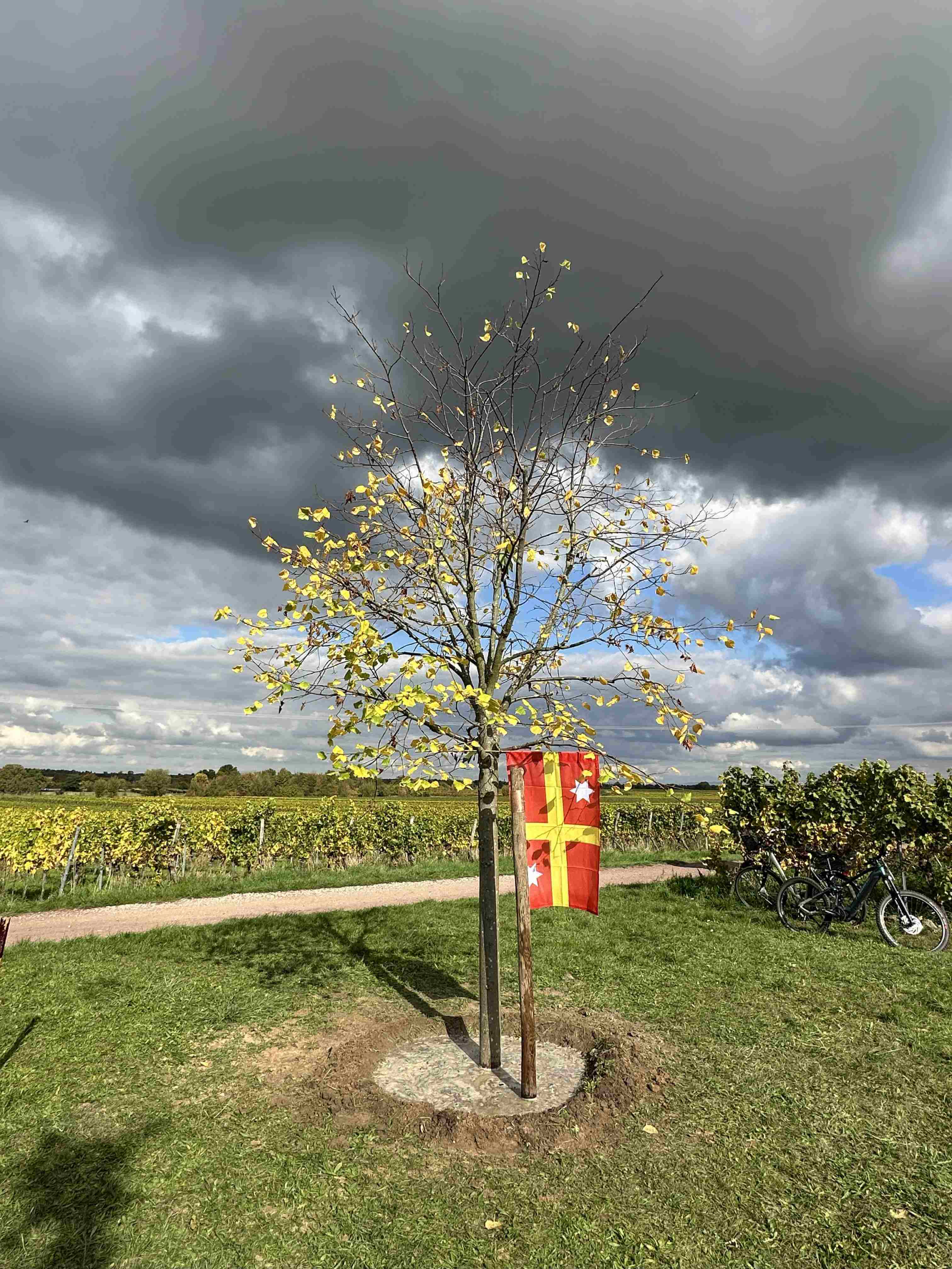 Baumpflanzchallenge 2025 Niederkirchen