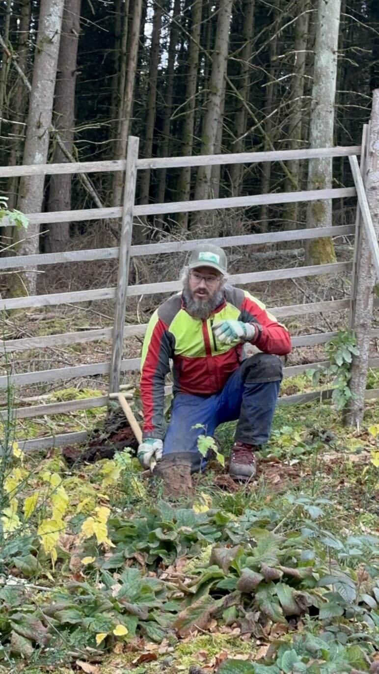 Planzaktion Jubiläumswald Niederkirchen Forstzweckverband Mittelhaardt