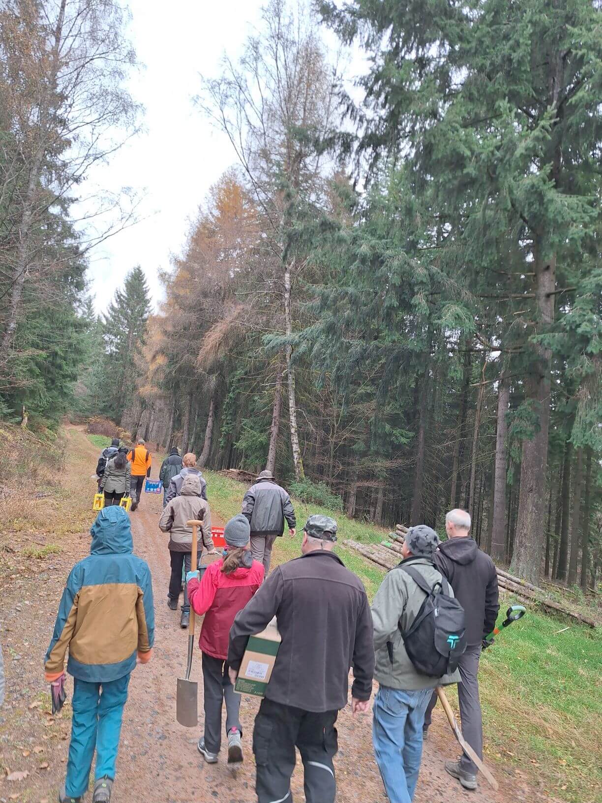 Planzaktion Jubiläumswald Niederkirchen Forstzweckverband Mittelhaardt
