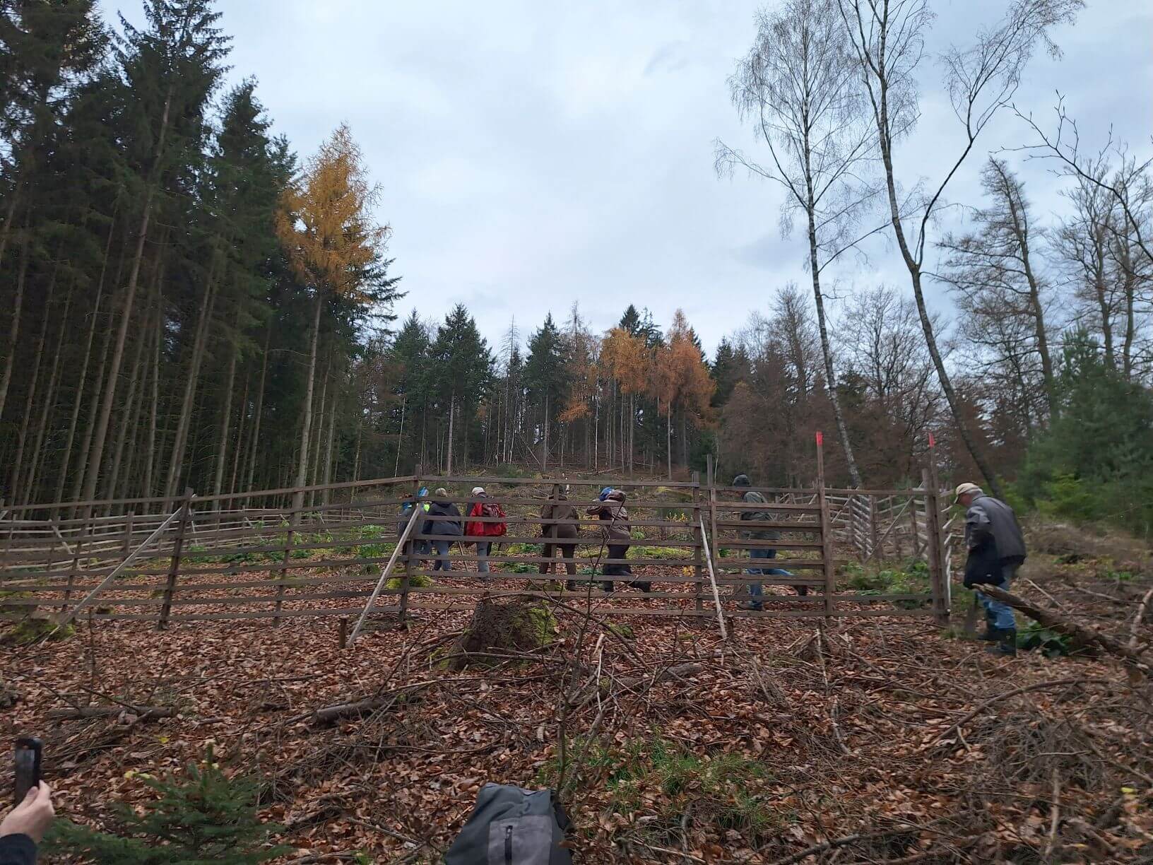 Planzaktion Jubiläumswald Niederkirchen Forstzweckverband Mittelhaardt