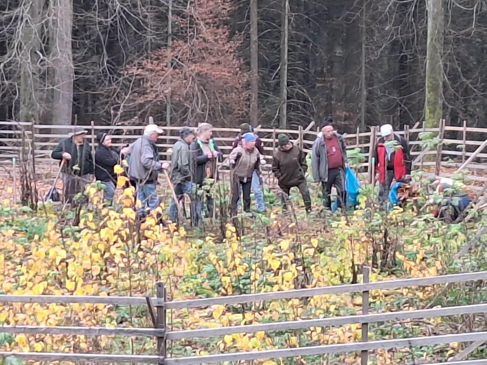 Planzaktion Jubiläumswald Niederkirchen Forstzweckverband Mittelhaardt