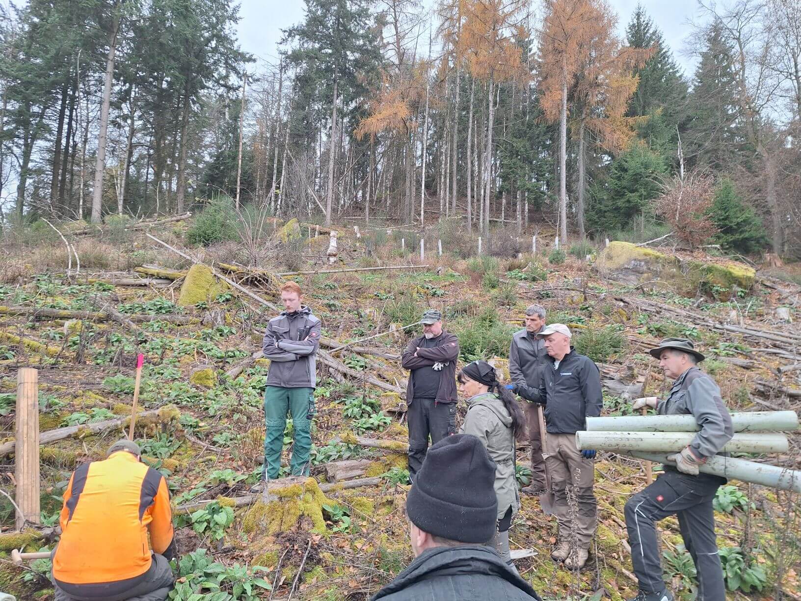 Planzaktion Jubiläumswald Niederkirchen Forstzweckverband Mittelhaardt