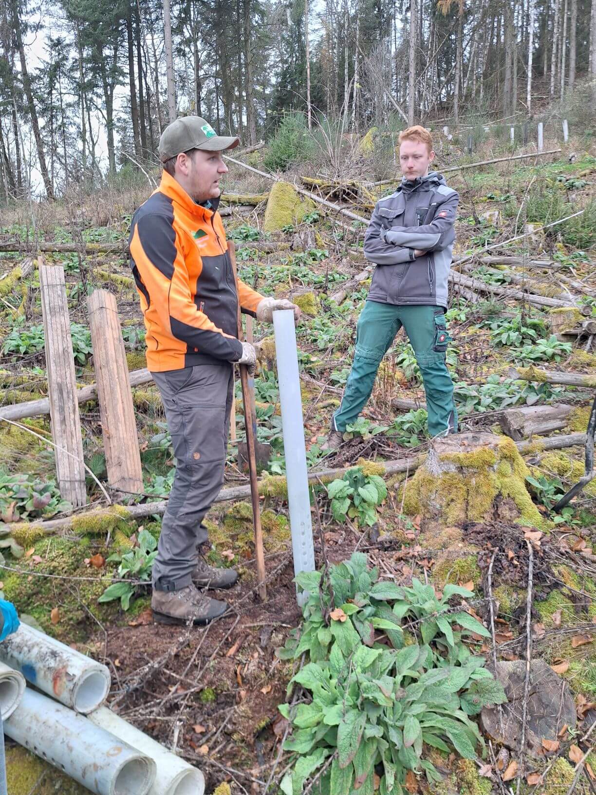 Planzaktion Jubiläumswald Niederkirchen Forstzweckverband Mittelhaardt