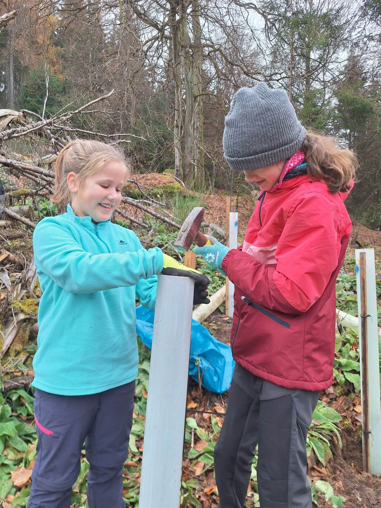 Planzaktion Jubiläumswald Niederkirchen Forstzweckverband Mittelhaardt