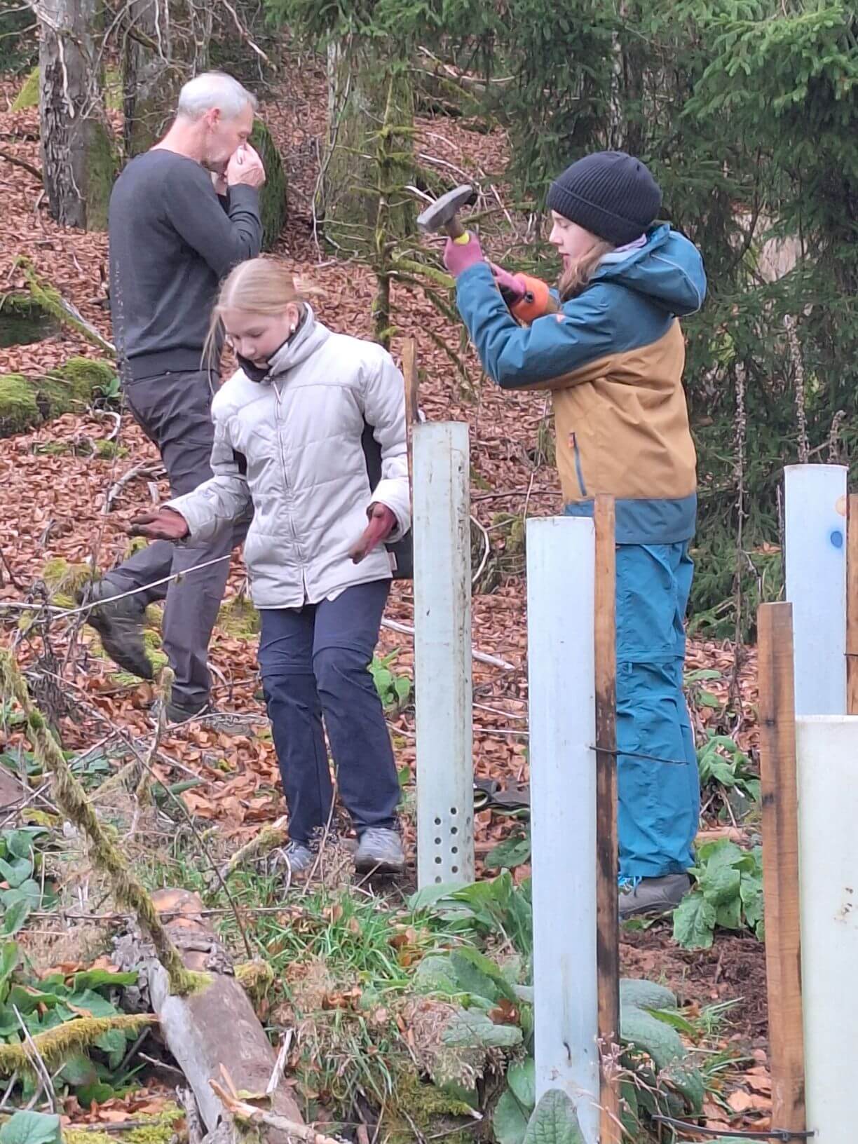 Planzaktion Jubiläumswald Niederkirchen Forstzweckverband Mittelhaardt