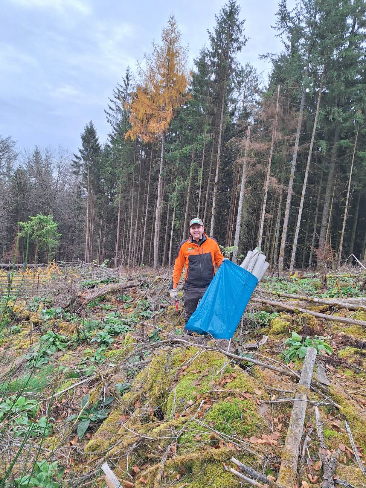 Planzaktion Jubiläumswald Niederkirchen Forstzweckverband Mittelhaardt