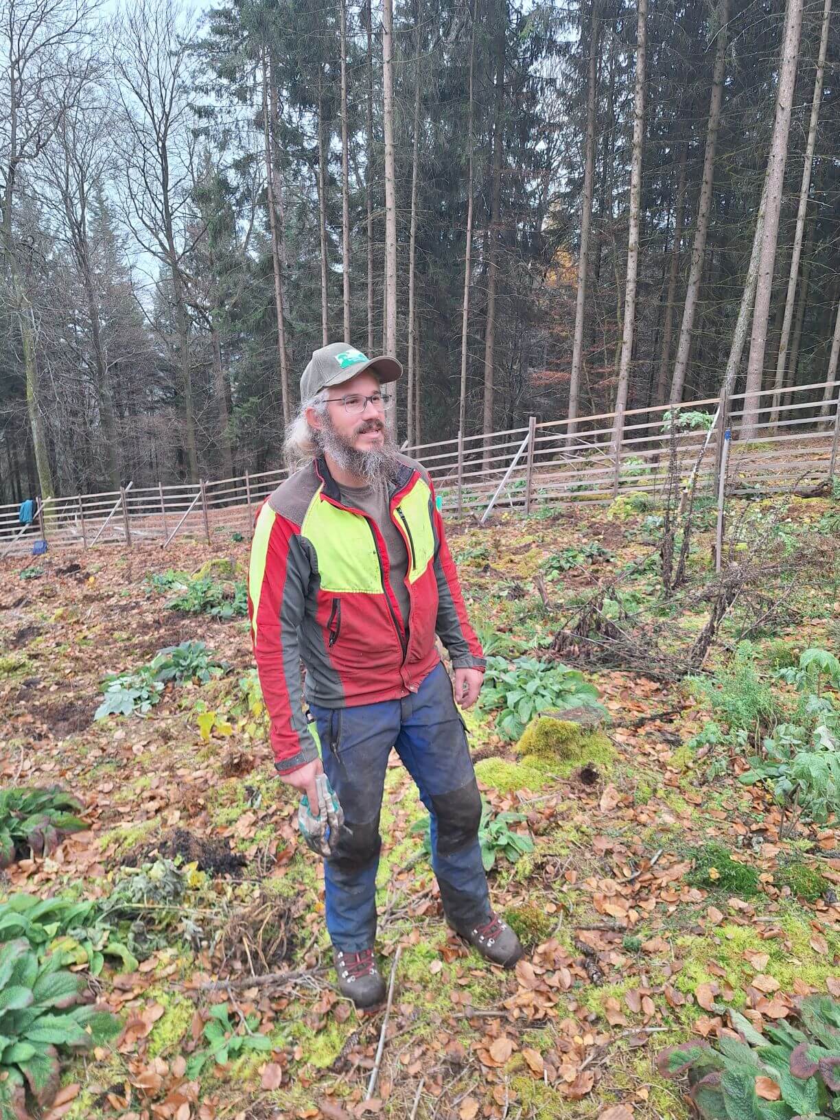 Planzaktion Jubiläumswald Niederkirchen Forstzweckverband Mittelhaardt