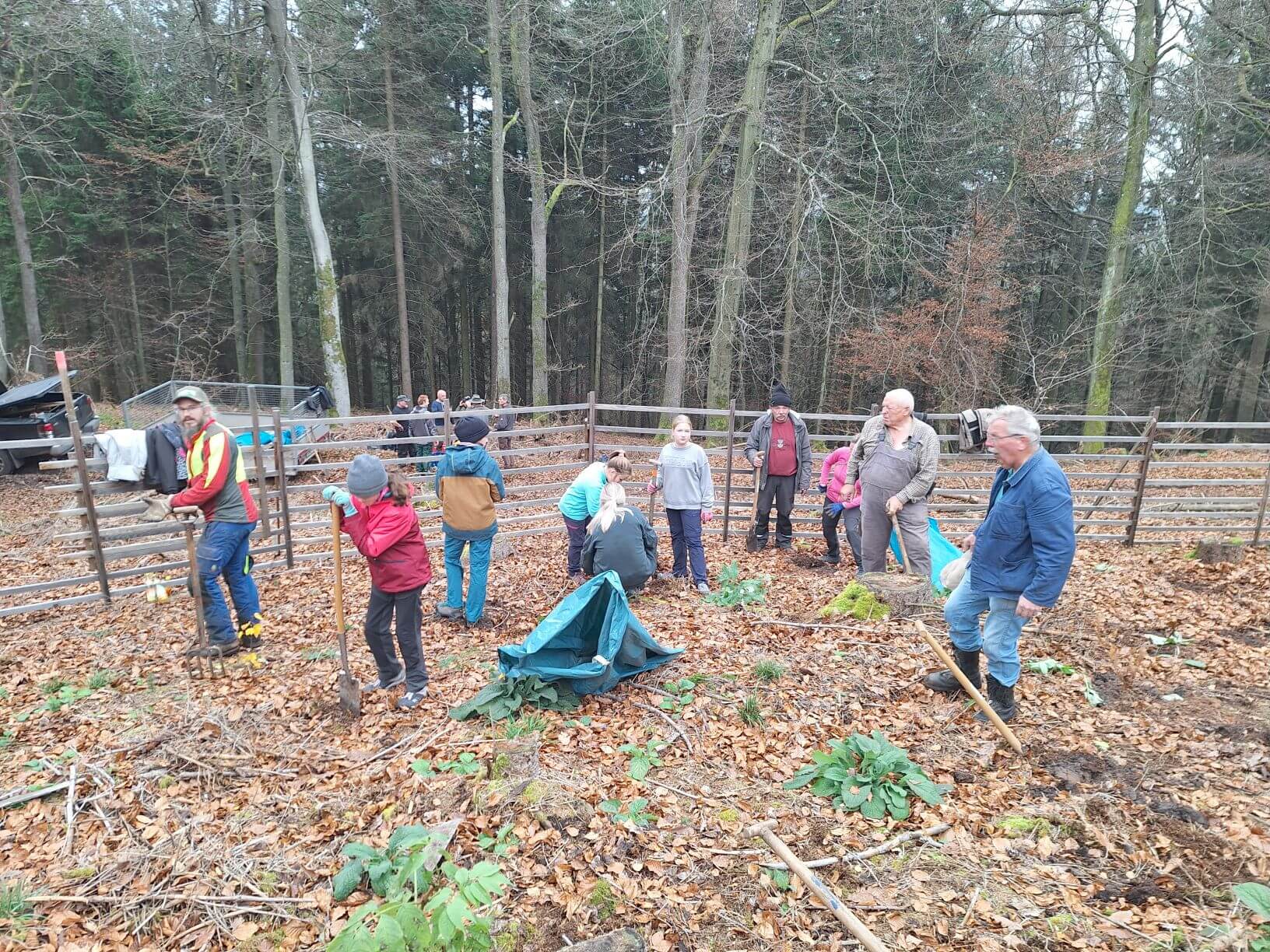 Planzaktion Jubiläumswald Niederkirchen Forstzweckverband Mittelhaardt